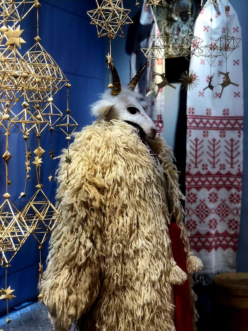 «Де коза ходить, там жито родить»: все про обряд водіння кози на Маланки