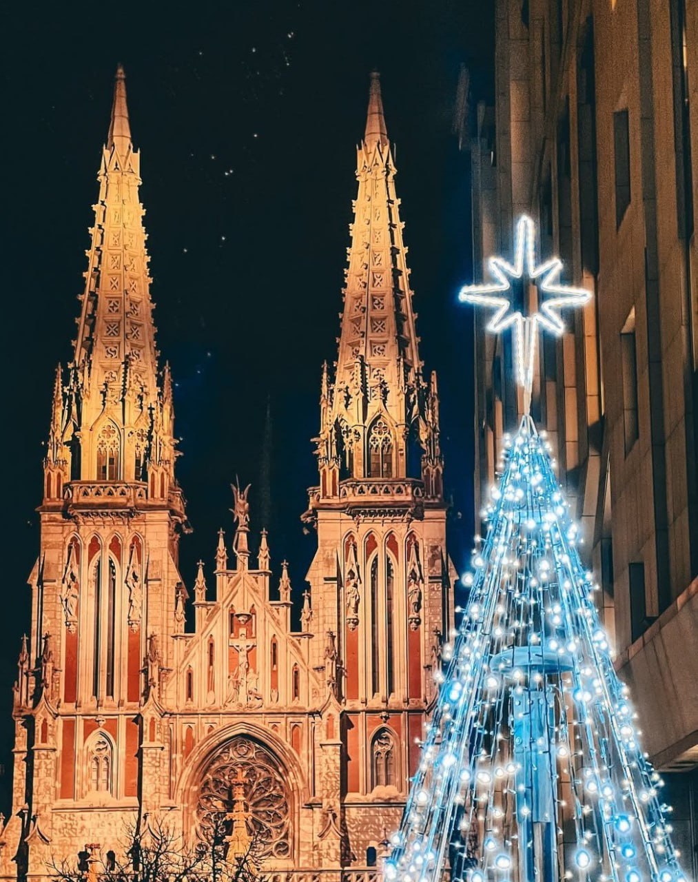 Біля Костелу святого Миколая в Києві встановили новорічну ялинку