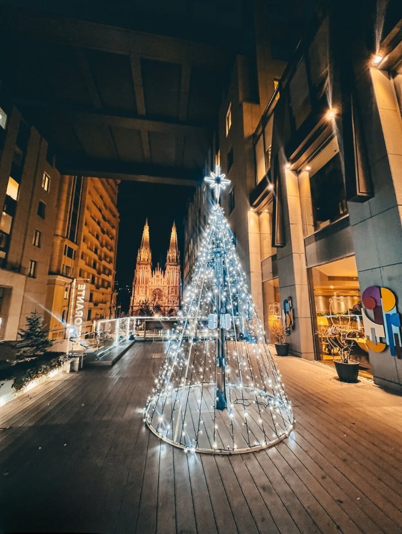 Біля Костелу святого Миколая в Києві встановили новорічну ялинку - фото 4