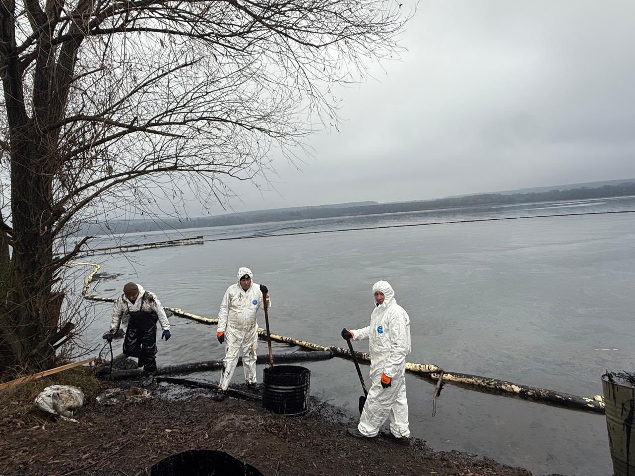 У Ладижині очищають водосховище: дістали вже 10 тонн мазути