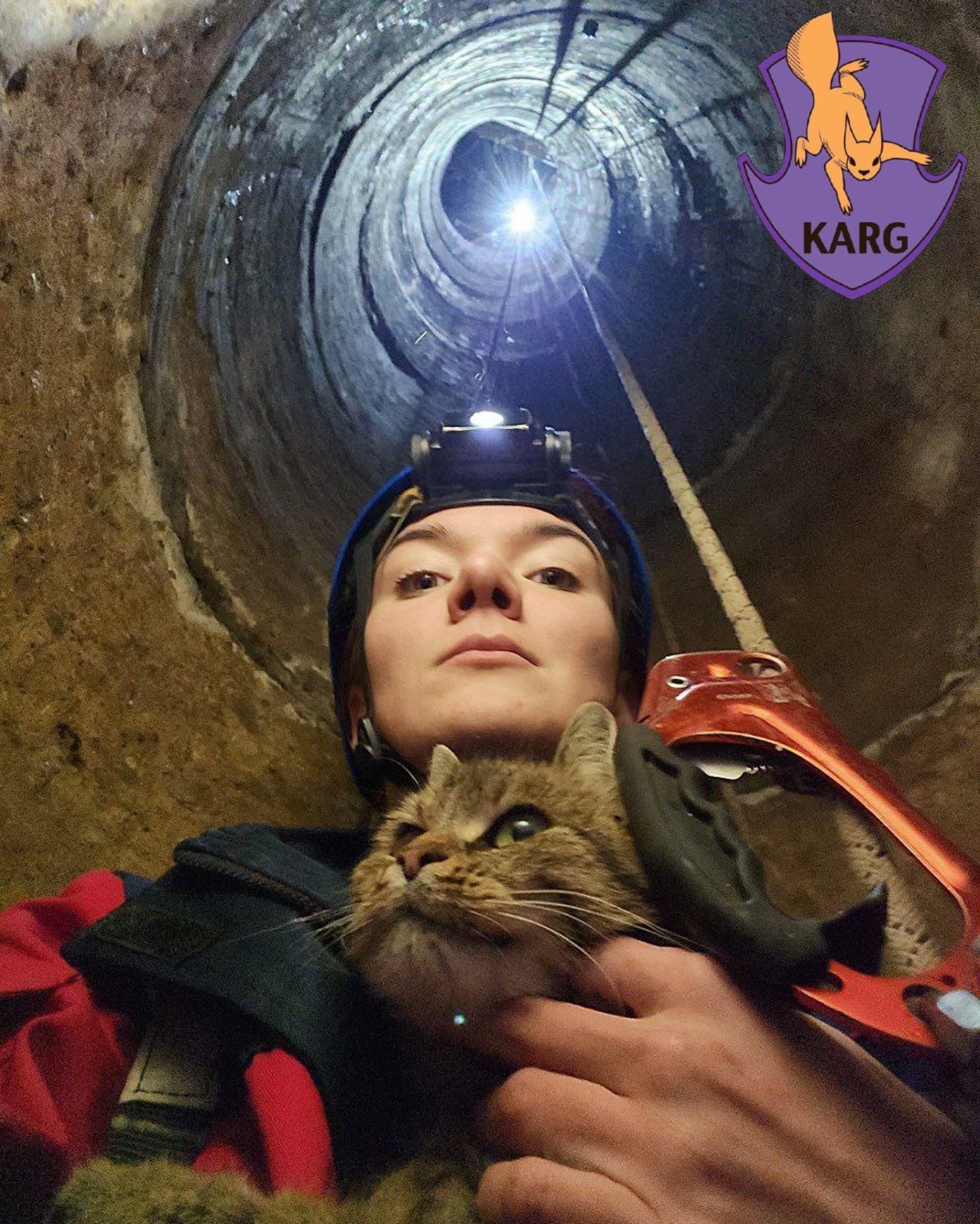 У Києві врятували кішку, яка впала у глибокий колодязь - фото 2