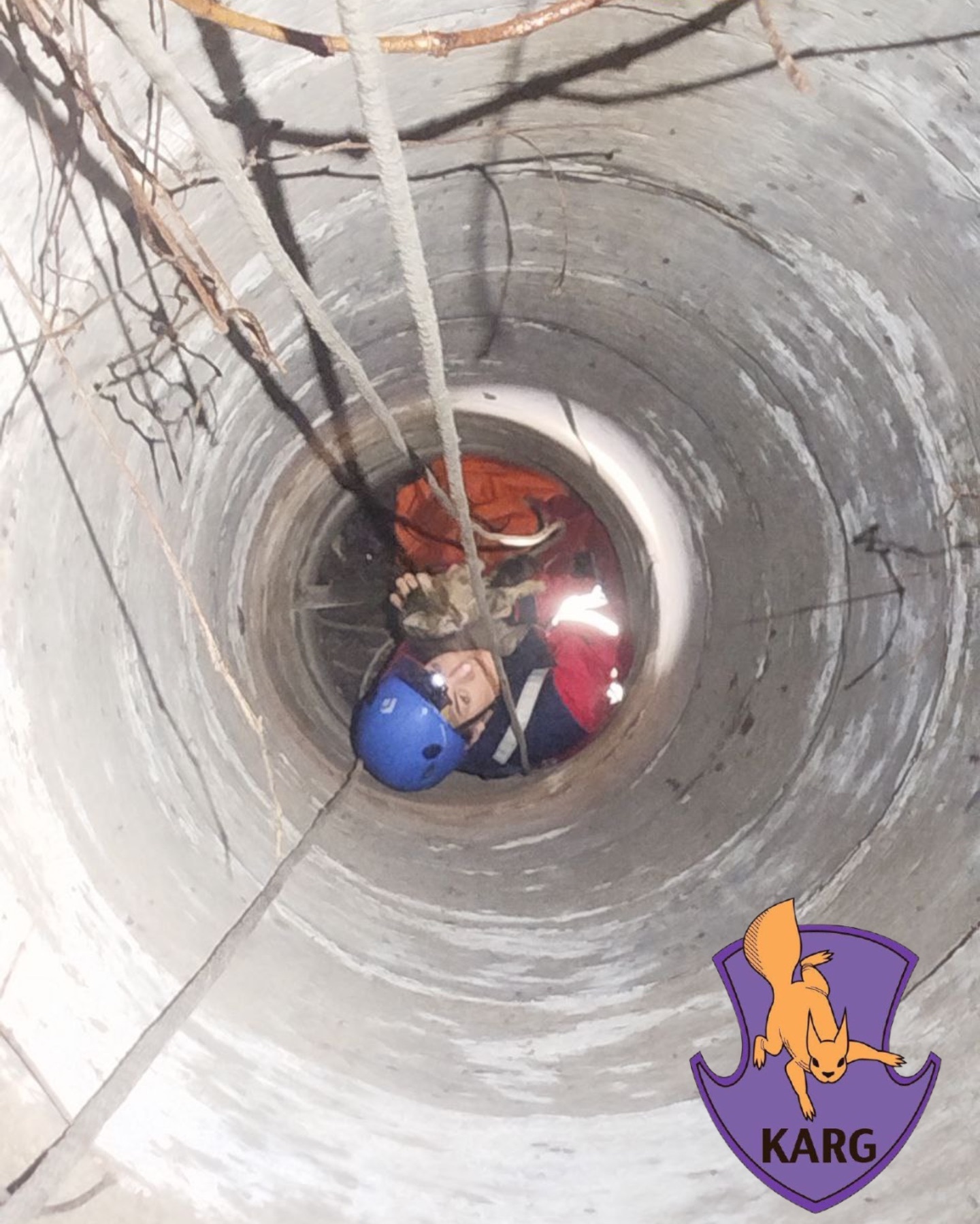 У Києві врятували кішку, яка впала у глибокий колодязь