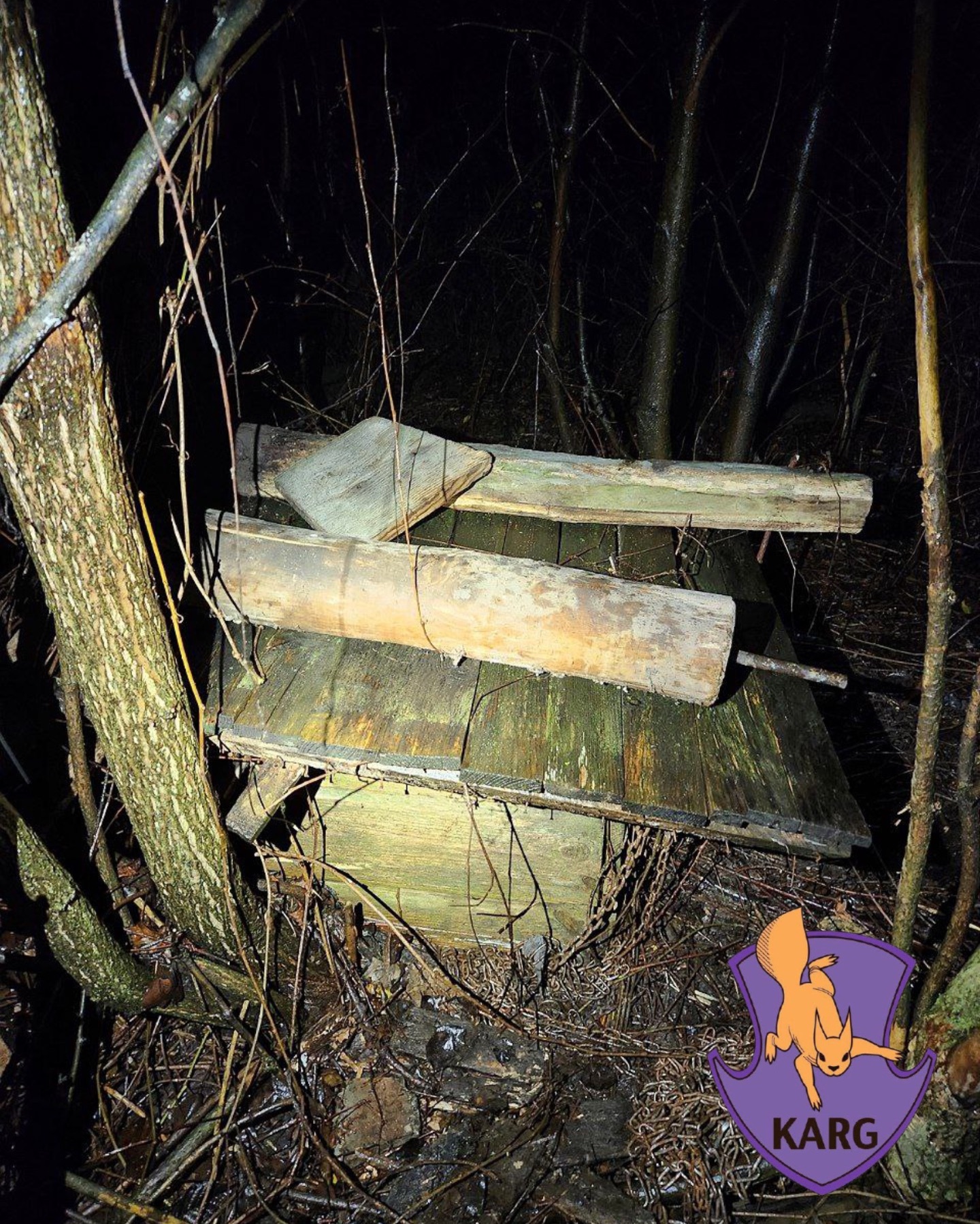 У Києві врятували кішку, яка впала у глибокий колодязь - фото 4