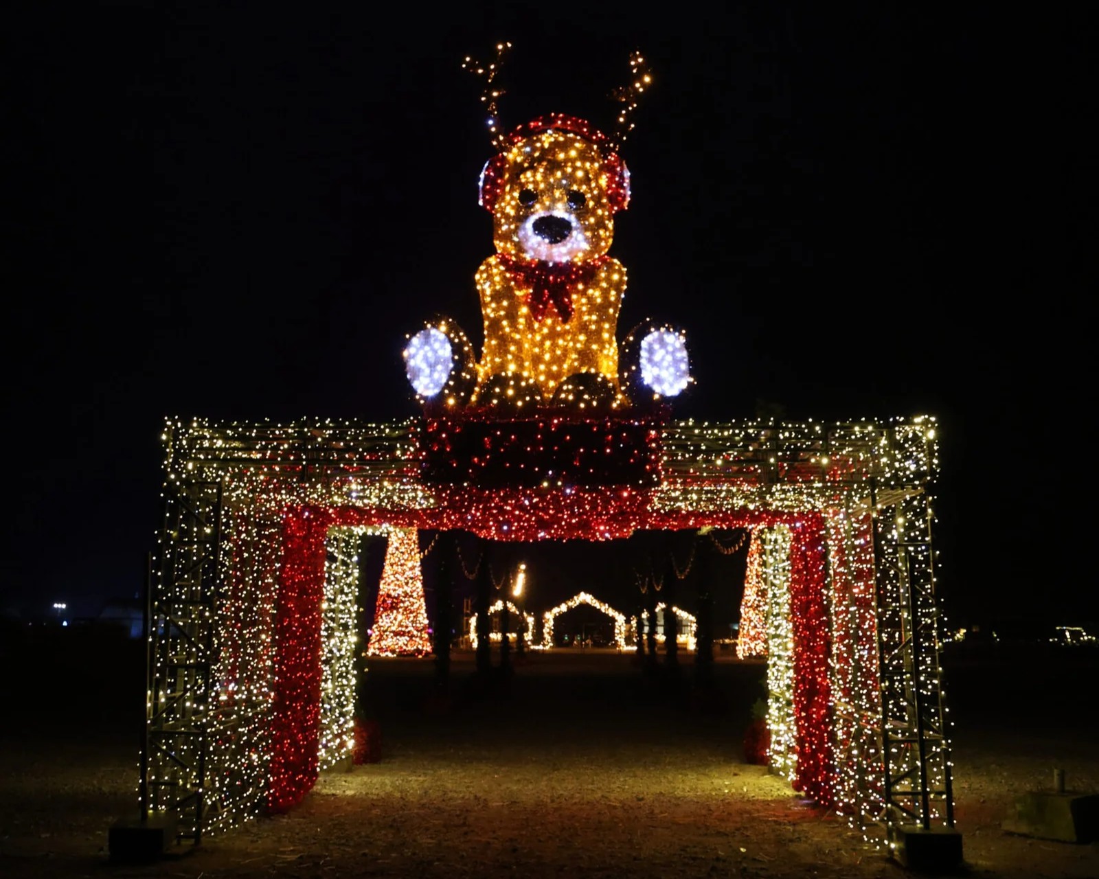 Добропарк на Київщині: цікаві пригоди у будь-яку пору року - фото 5