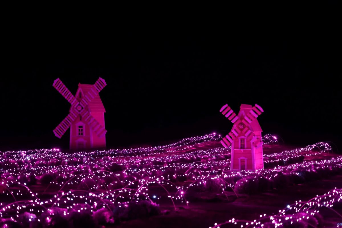 Добропарк на Київщині: цікаві пригоди у будь-яку пору року - фото 8