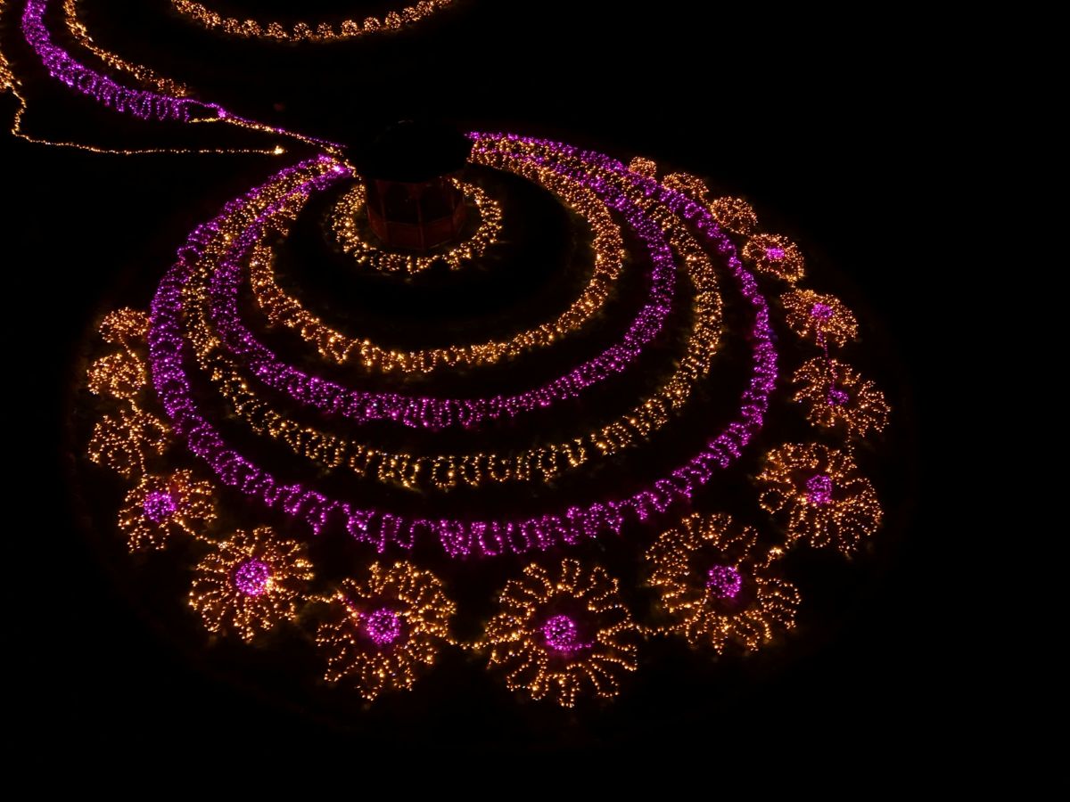 Добропарк на Київщині: цікаві пригоди у будь-яку пору року - фото 6