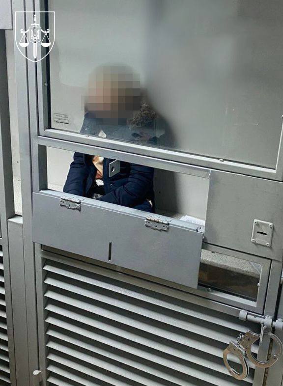 З Німеччини в Україну екстрадували жінку, яка торгувала дітьми під прикриттям сурогатного материнства