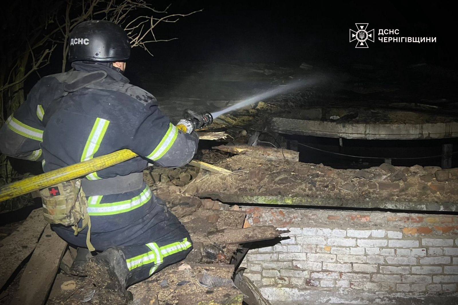 Російські дрони вбили 7 корів на Чернігівщині - фото 3