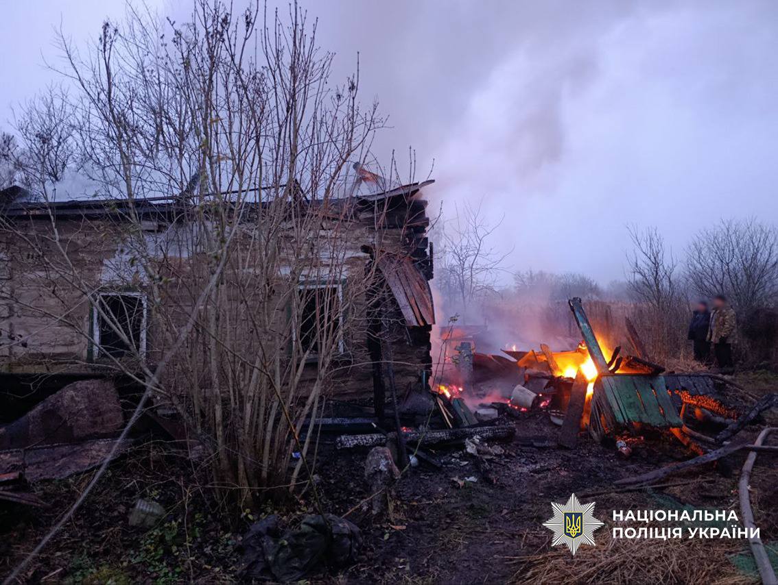 Російські дрони вбили 7 корів на Чернігівщині - фото 4