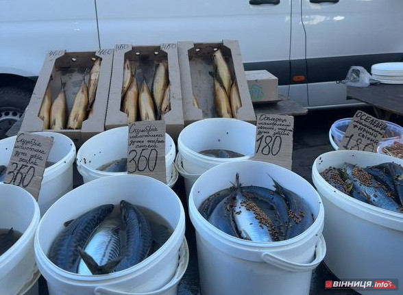 Атмосфера та ціни на вінницькому базарі: у скільки обійдеться святковий стіл 2025 - фото 4