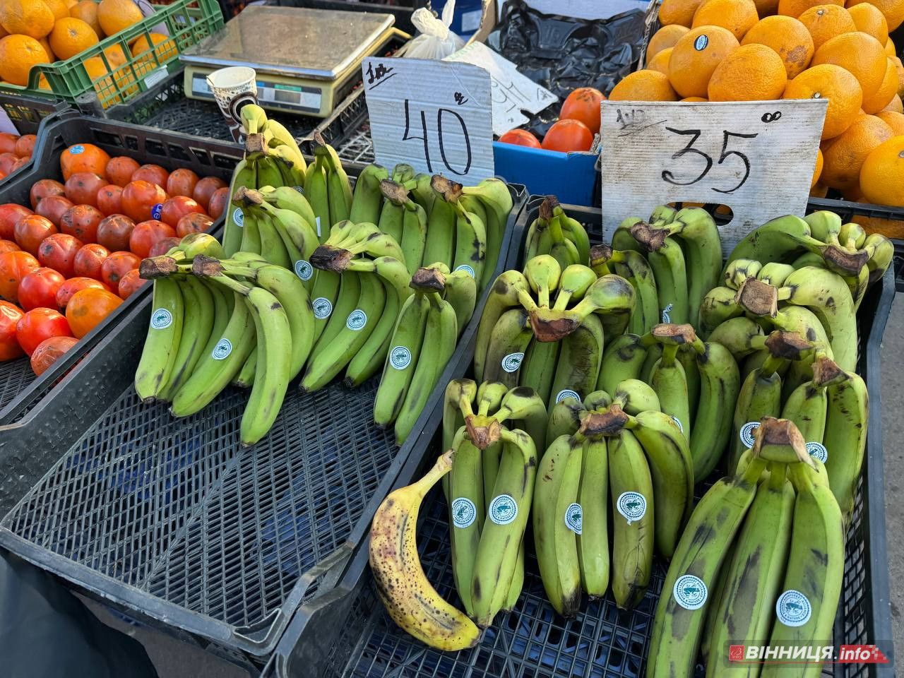 Атмосфера та ціни на вінницькому базарі: у скільки обійдеться святковий стіл 2025 - фото 22