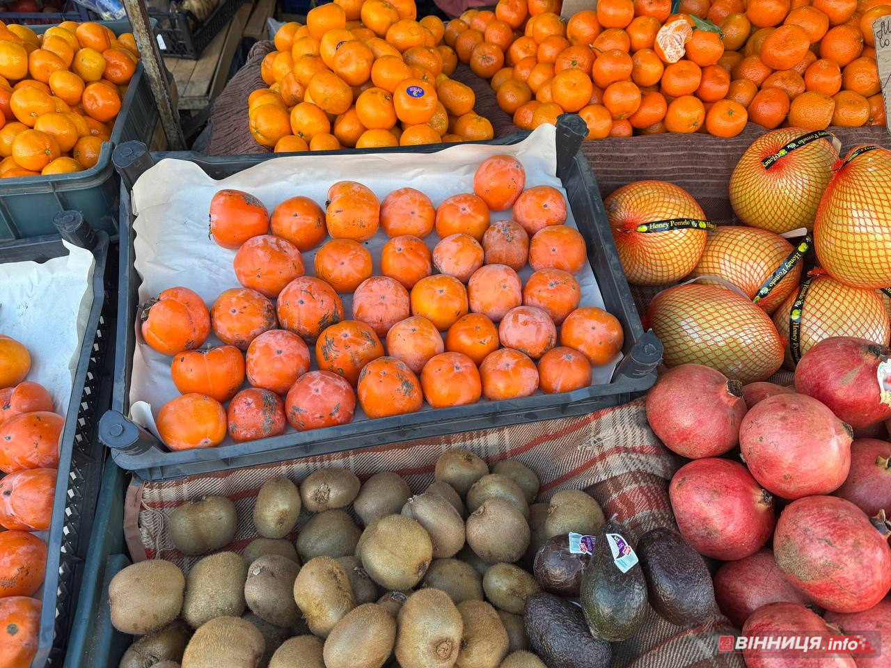 Атмосфера та ціни на вінницькому базарі: у скільки обійдеться святковий стіл 2025 - фото 28