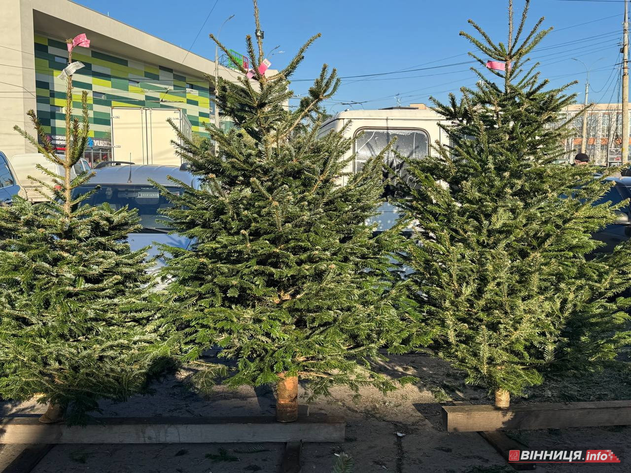 Атмосфера та ціни на вінницькому базарі: у скільки обійдеться святковий стіл 2025 - фото 16