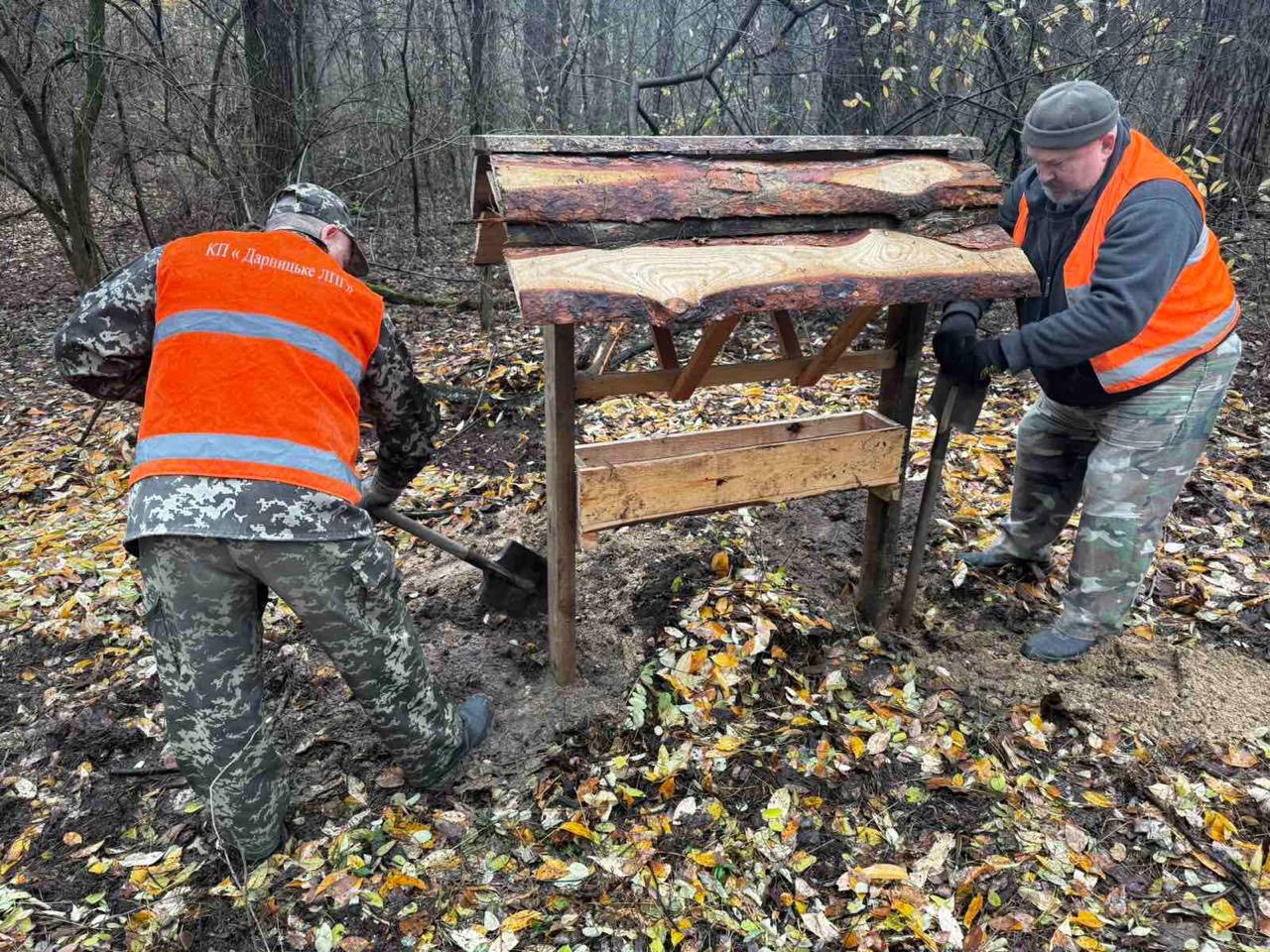 У лісах Києва тривають заходи з підтримки диких тварин у зимовий період - фото 6