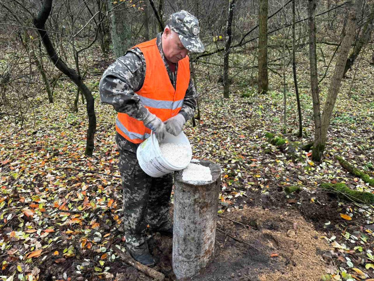 У лісах Києва тривають заходи з підтримки диких тварин у зимовий період - фото 3
