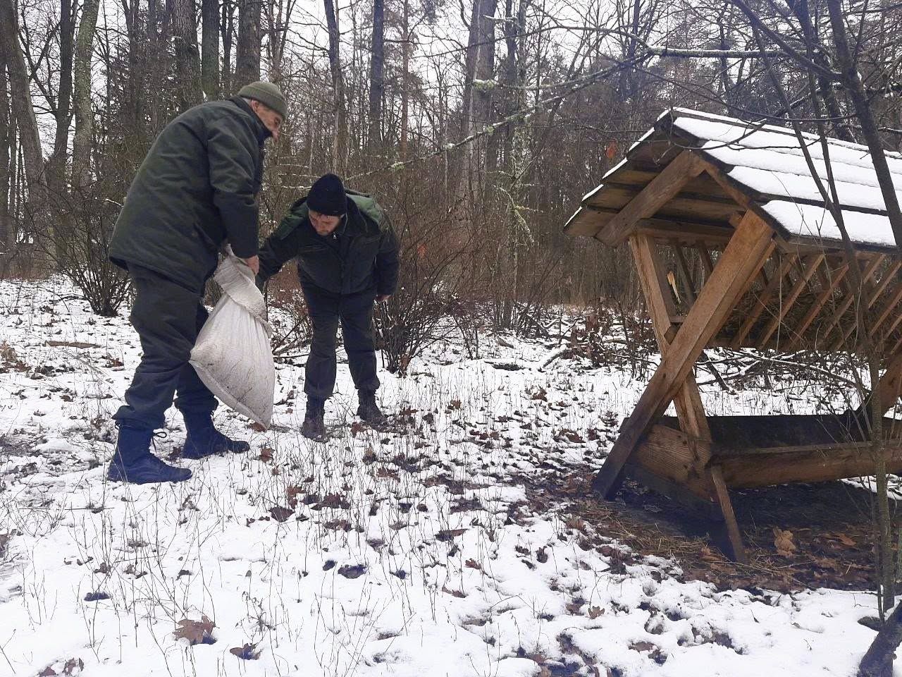 У лісах Києва тривають заходи з підтримки диких тварин у зимовий період - фото 4