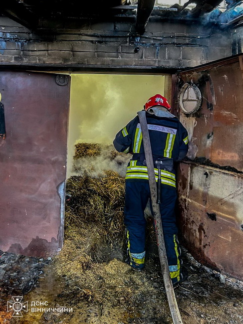 У пожежі на Вінниччині загинули свійські тварини