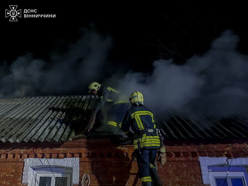 У пожежі на Вінниччині загинули свійські тварини - фото 2