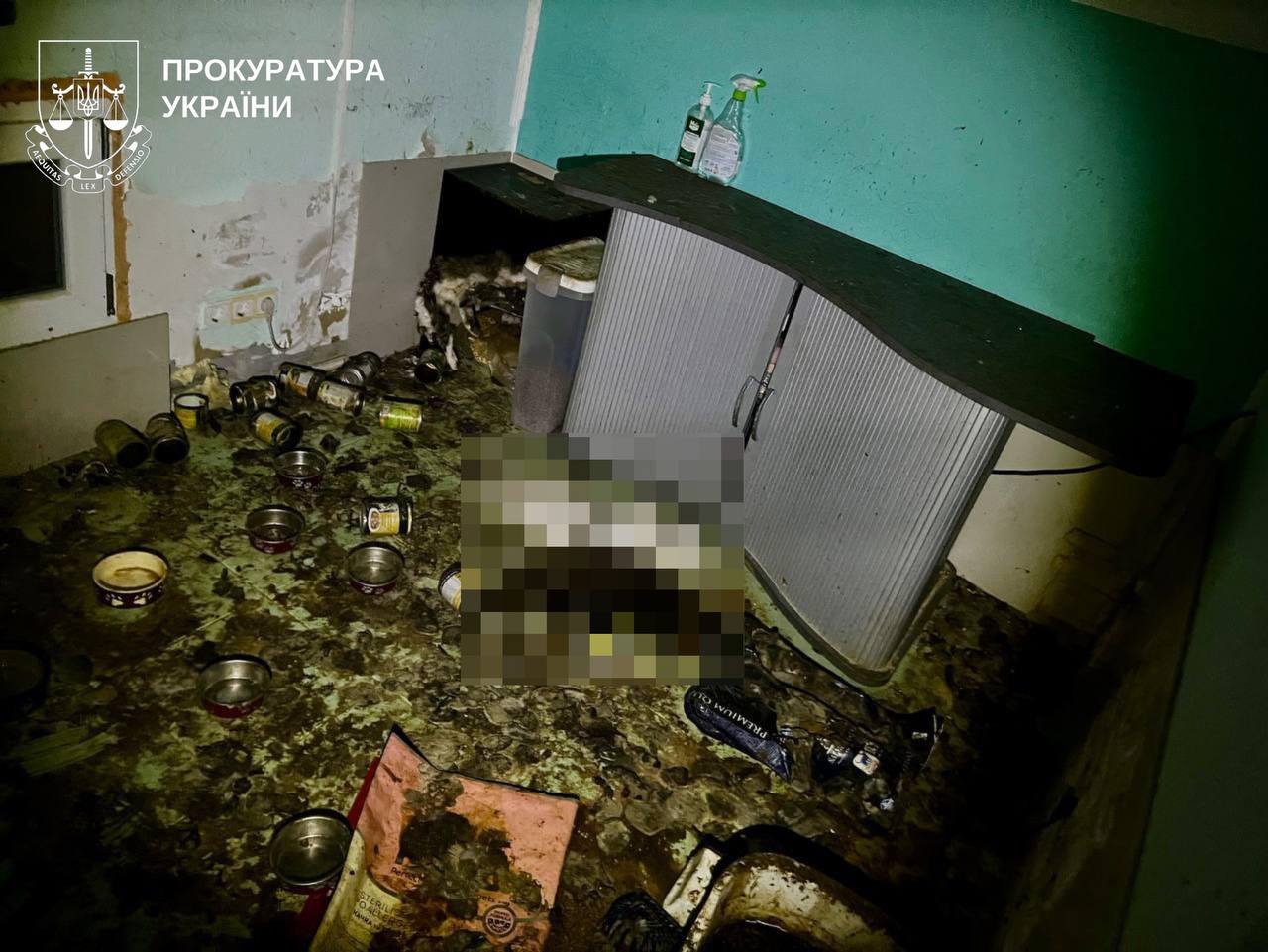 Жорстоке поводження з тваринами: в Обухівському районі загинули понад 50 котів