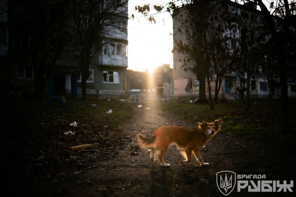 Фото знищеного росіянами Добропілля показала бригада «Рубіж» - фото 5
