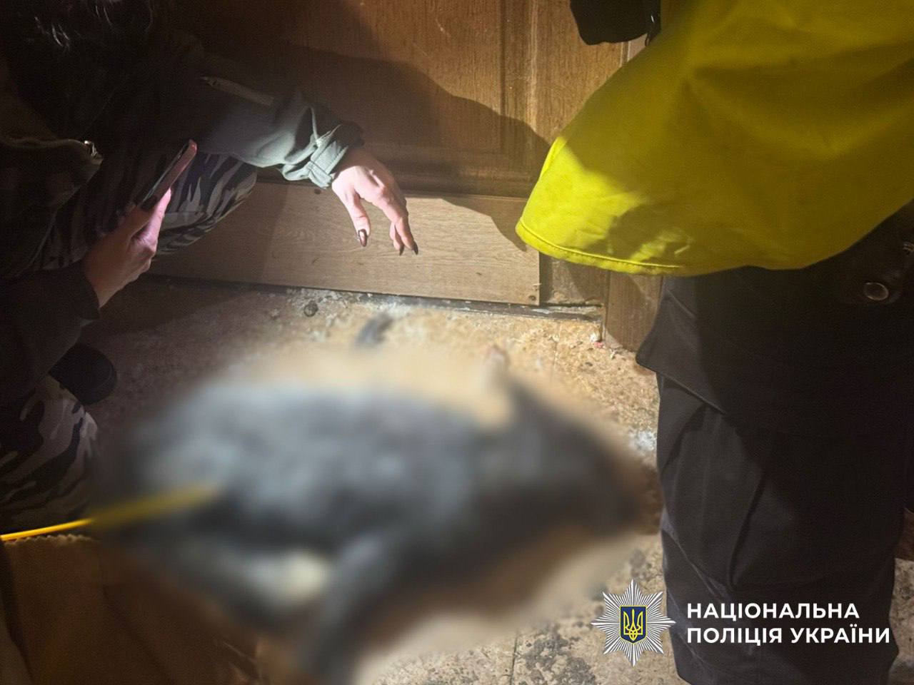 Утримувала в квартирі лисицю та вовка: у Києві на жінку відкрили кримінальне провадження - фото 2