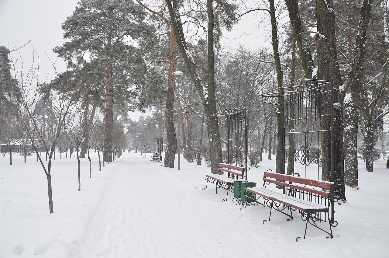 Парк «Кіото» в Києві: японська атмосфера посеред міста - фото 2