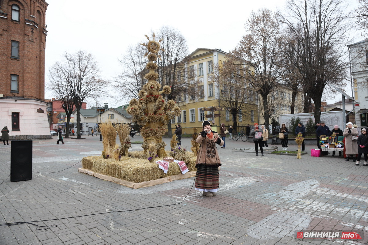 У центрі Вінниці встановили різдвяний оберіг «Дідух Єднання»