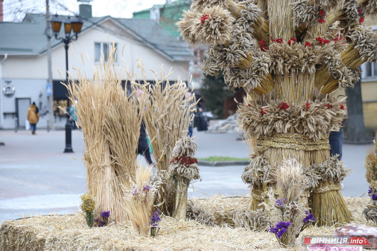 У центрі Вінниці встановили різдвяний оберіг «Дідух Єднання» - фото 2