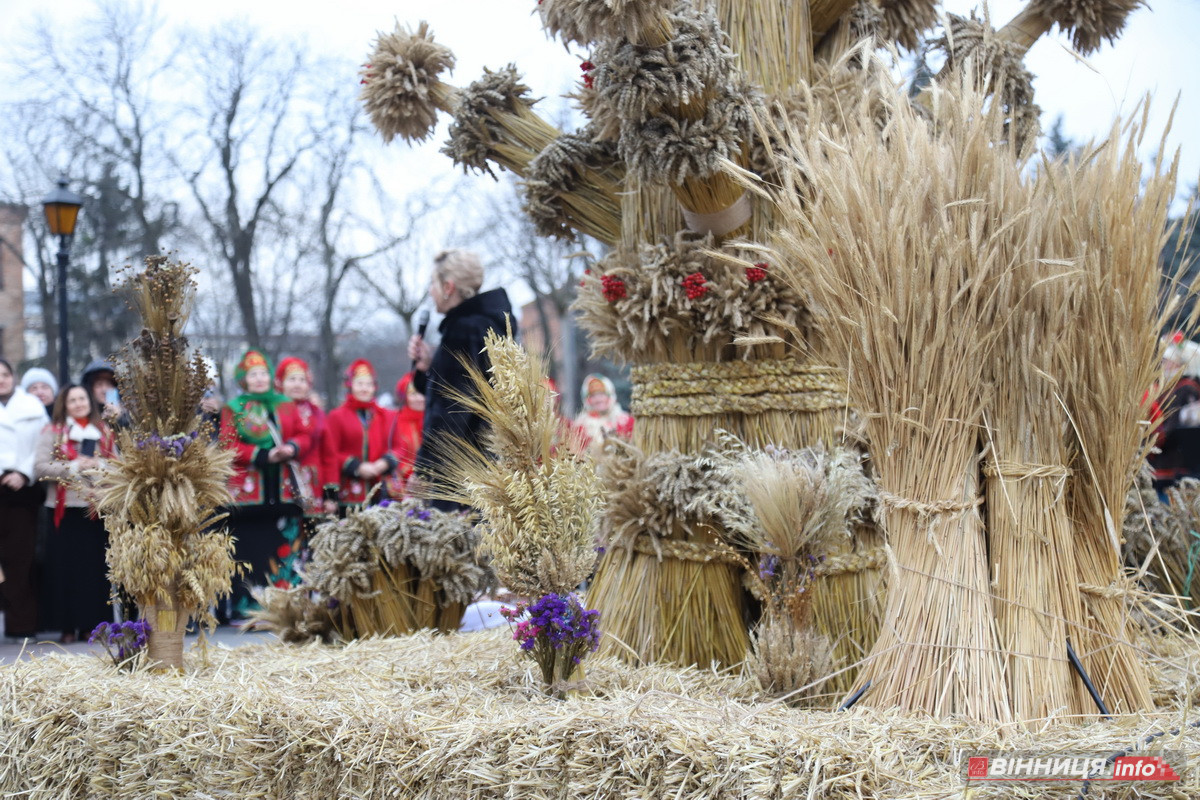 У центрі Вінниці встановили різдвяний оберіг «Дідух Єднання» - фото 8