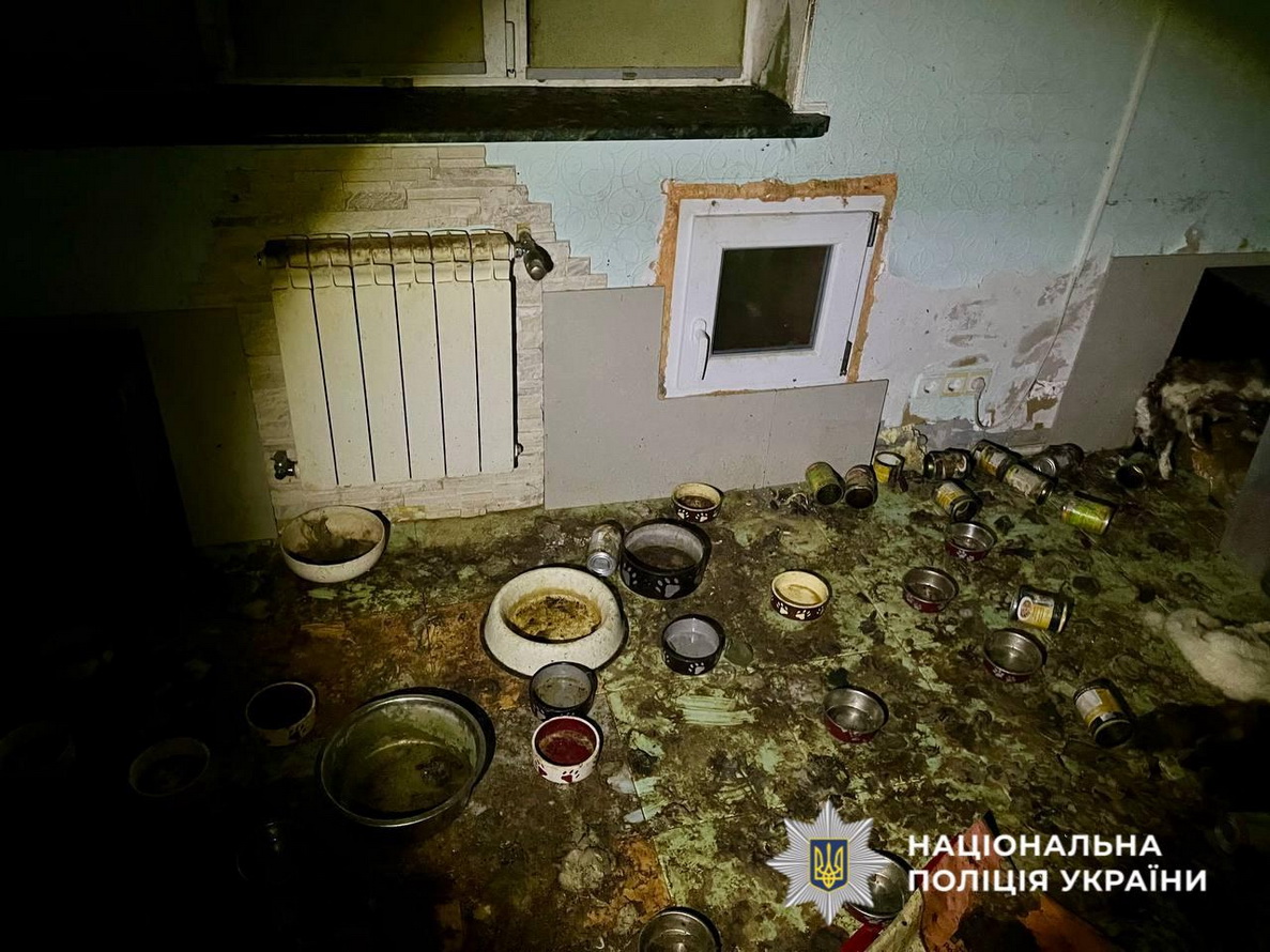 Повідомили про підозру жінці, в будинку якої загинуло пів сотні котів