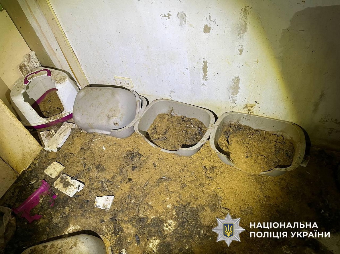Повідомили про підозру жінці, в будинку якої загинуло пів сотні котів - фото 2