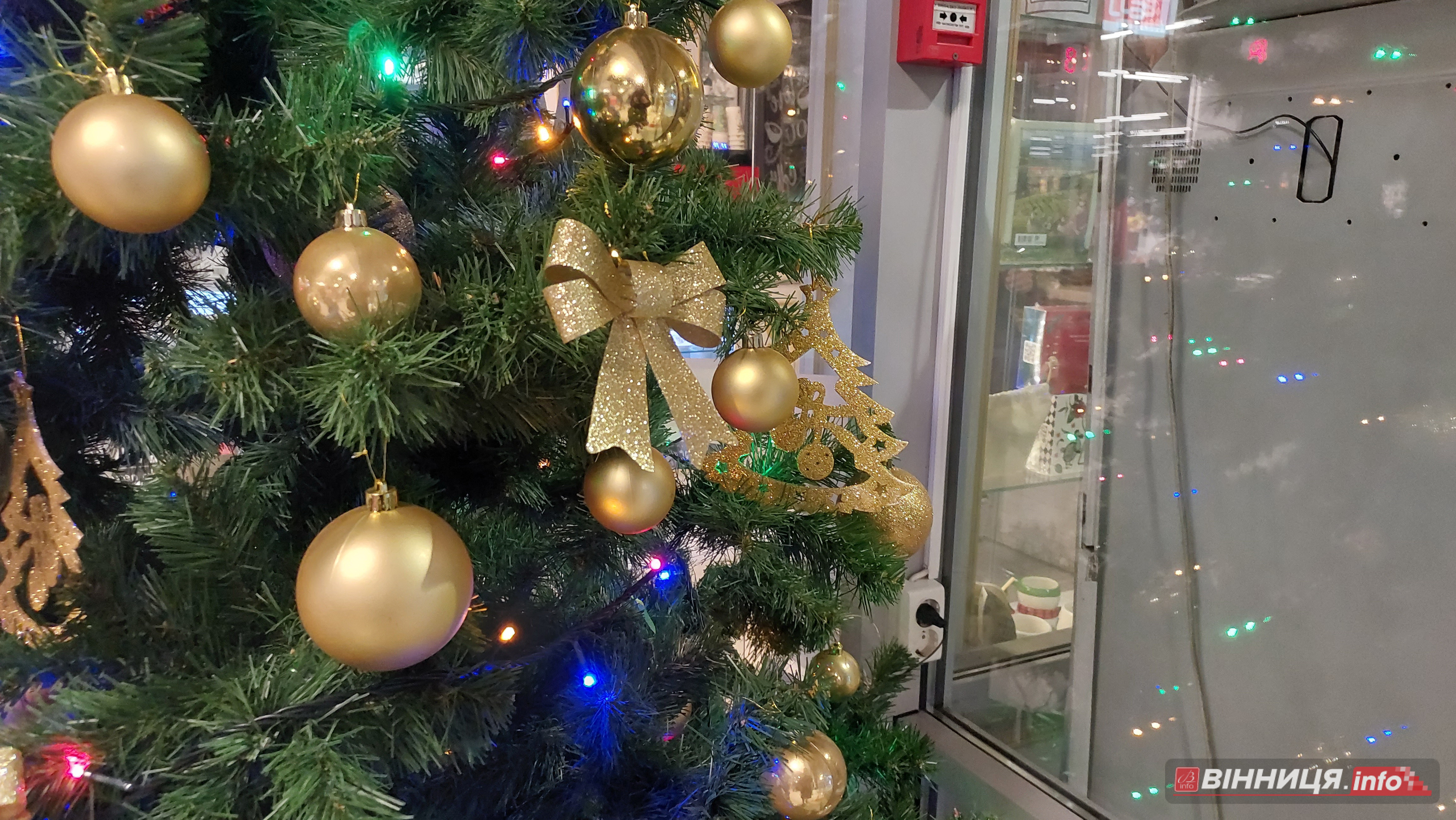 Де у Вінниці зробити фото біля новорічної ялинки: святкові локації міста - фото 5