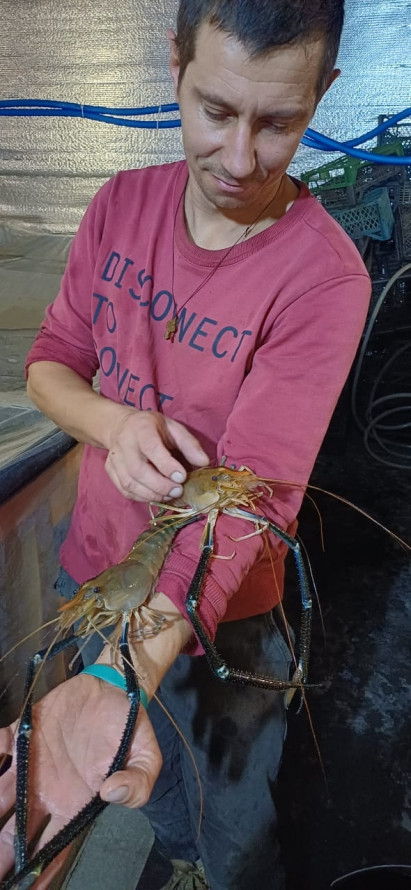 Аквакультура як шлях до реабілітації: ветеран з Київщини створив акваферму