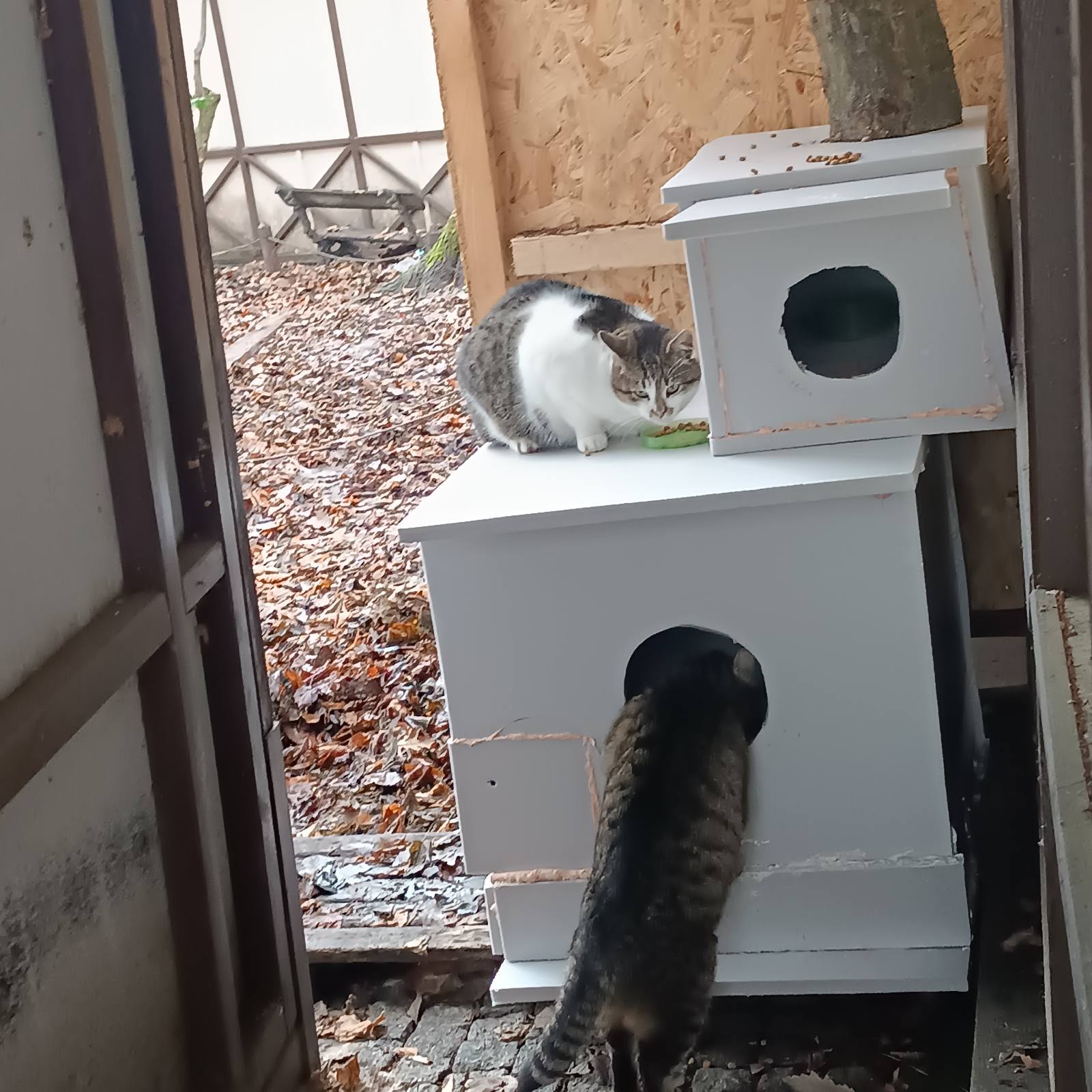 У «Софіївці» встановили будиночки для безпритульних котів