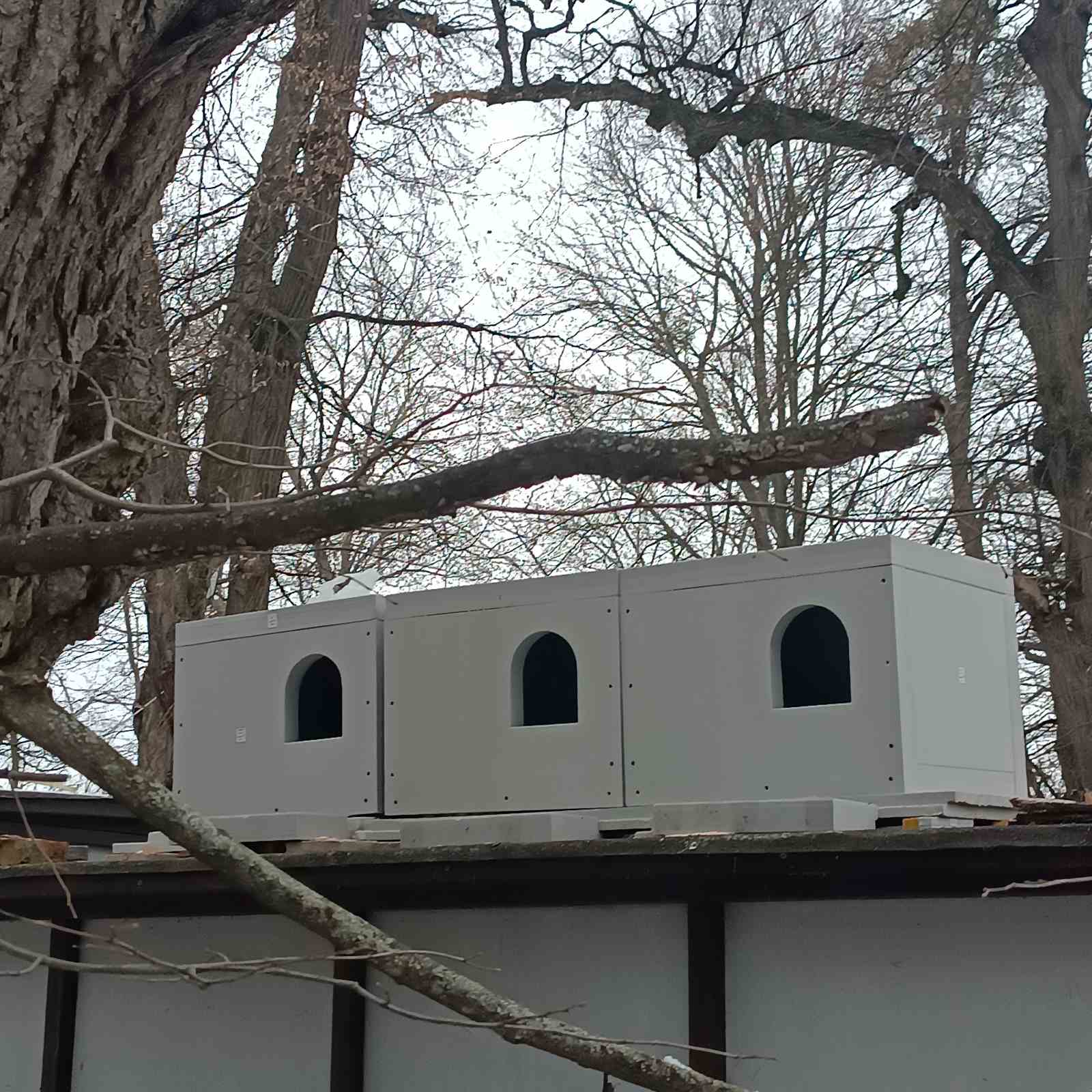 У «Софіївці» встановили будиночки для безпритульних котів - фото 2