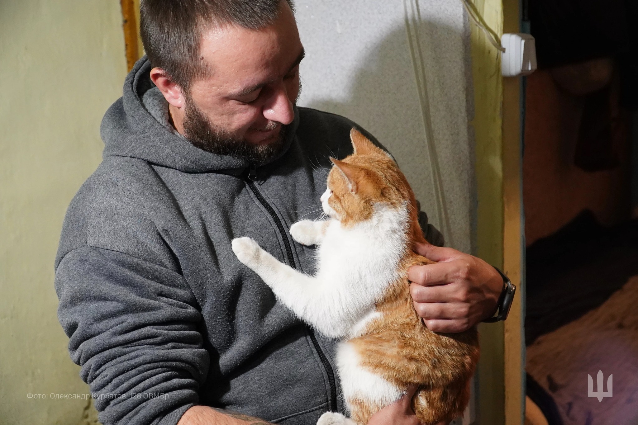 Кіт Рикошет став любленцем воїнів «Дикого поля» і вижив під час обстрілів