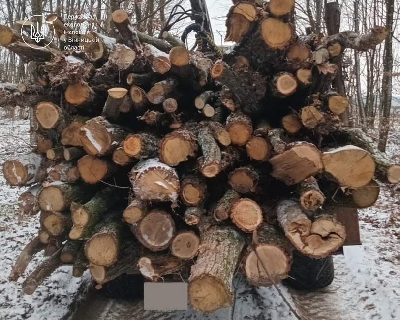 На Вінниччині виявили факт незаконного вивезення деревини - фото 3
