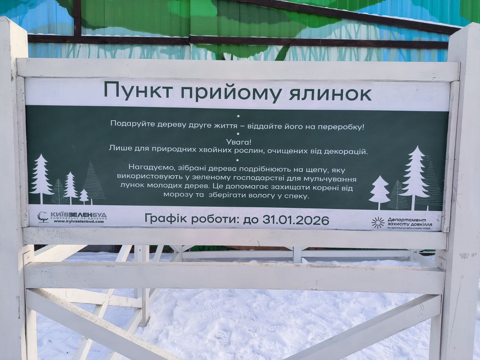 Пункти утилізації ялинок у Києві: мапа, адреси, поради