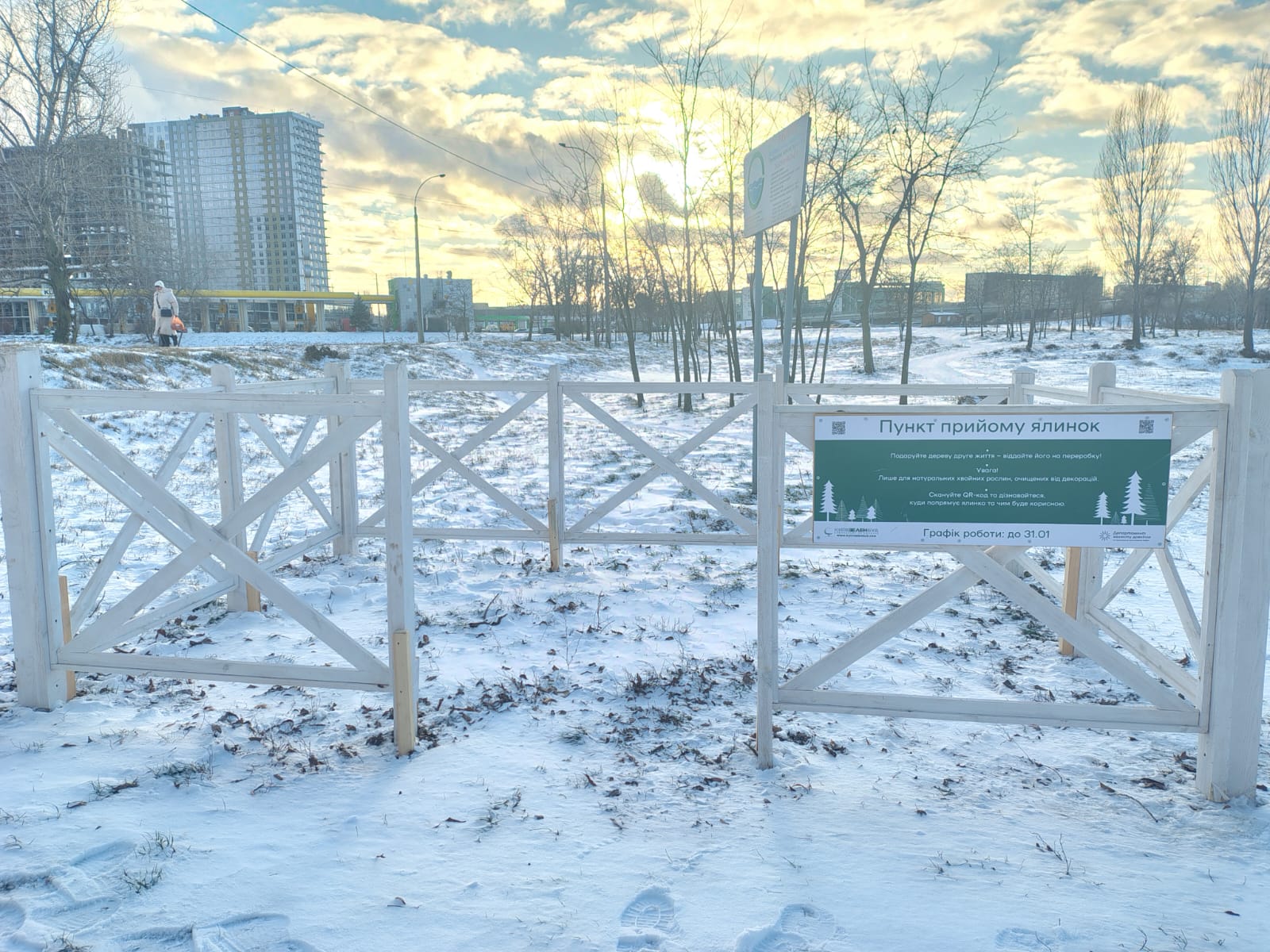 Пункти утилізації ялинок у Києві: мапа, адреси, поради - фото 2