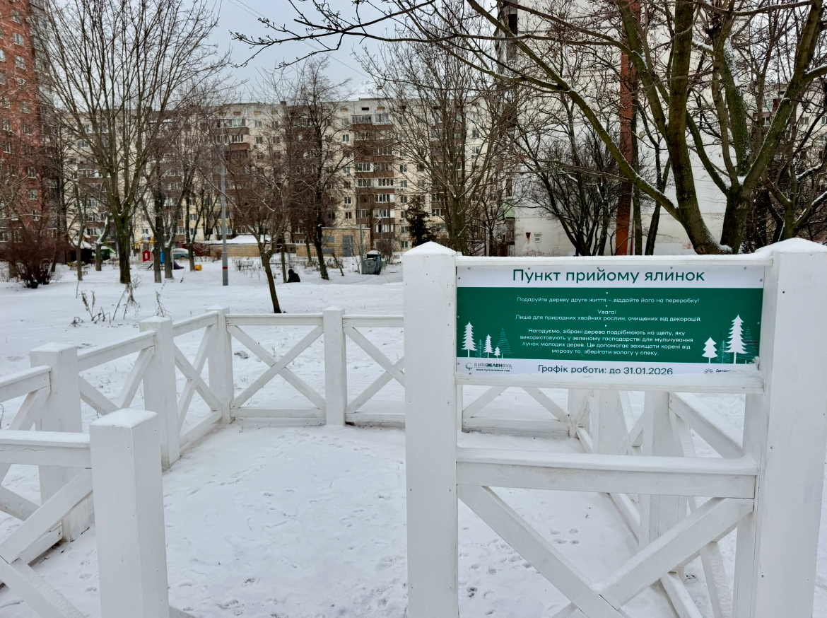 Пункти утилізації ялинок у Києві: мапа, адреси, поради - фото 5