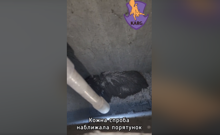 Впала з висоти 9 поверху та вижила: команда порятунку тварин розповіла, як діставала кішку з вентиляції в Києві - фото 2