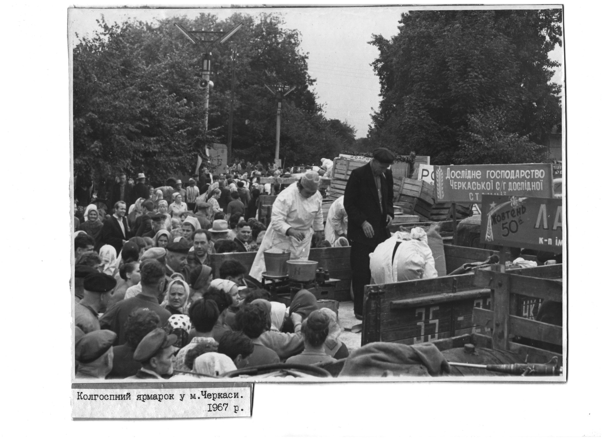 В краєзнавчому музеї показали маловідомі світлини Черкас - фото 3