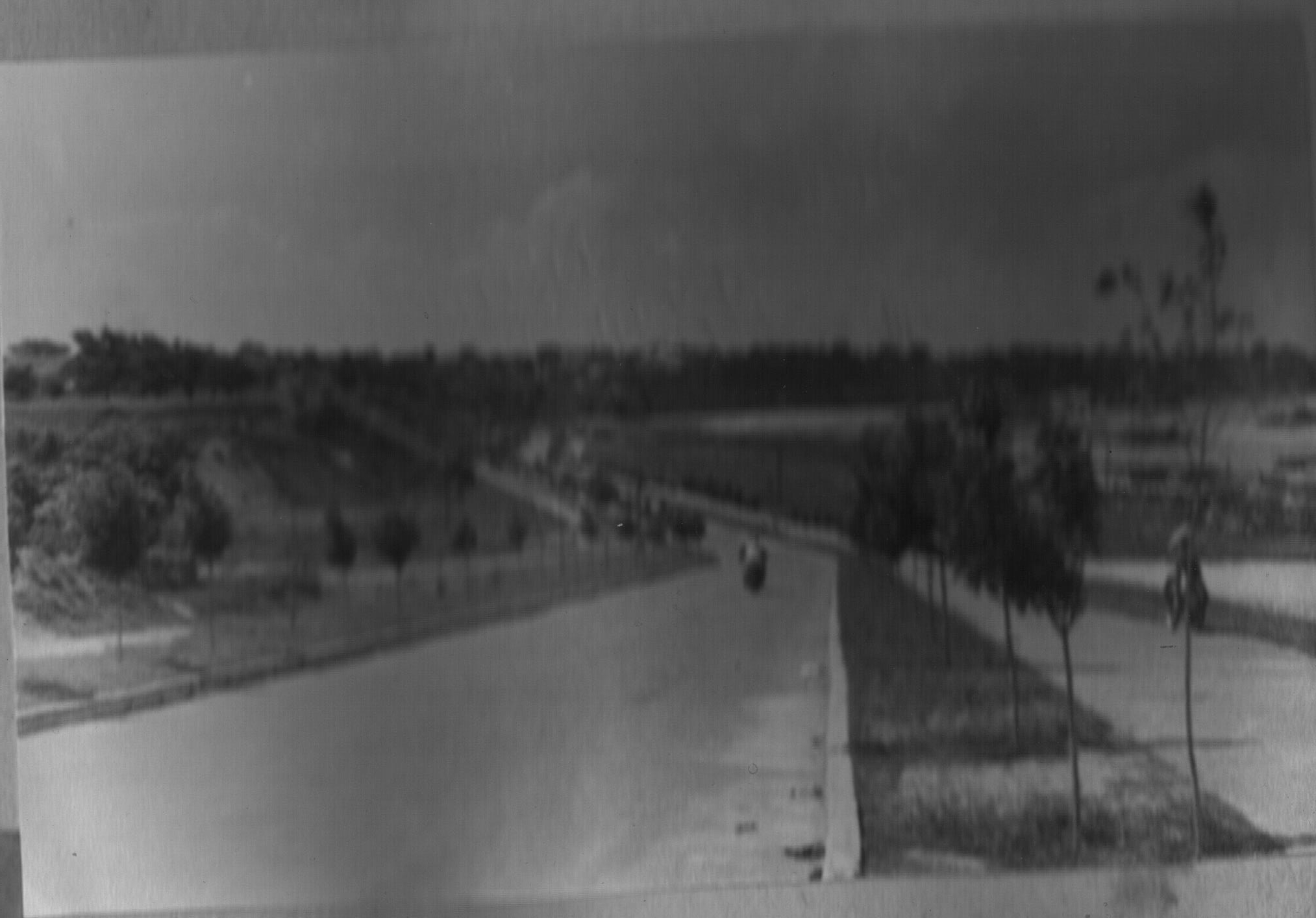 В краєзнавчому музеї показали маловідомі світлини Черкас - фото 6