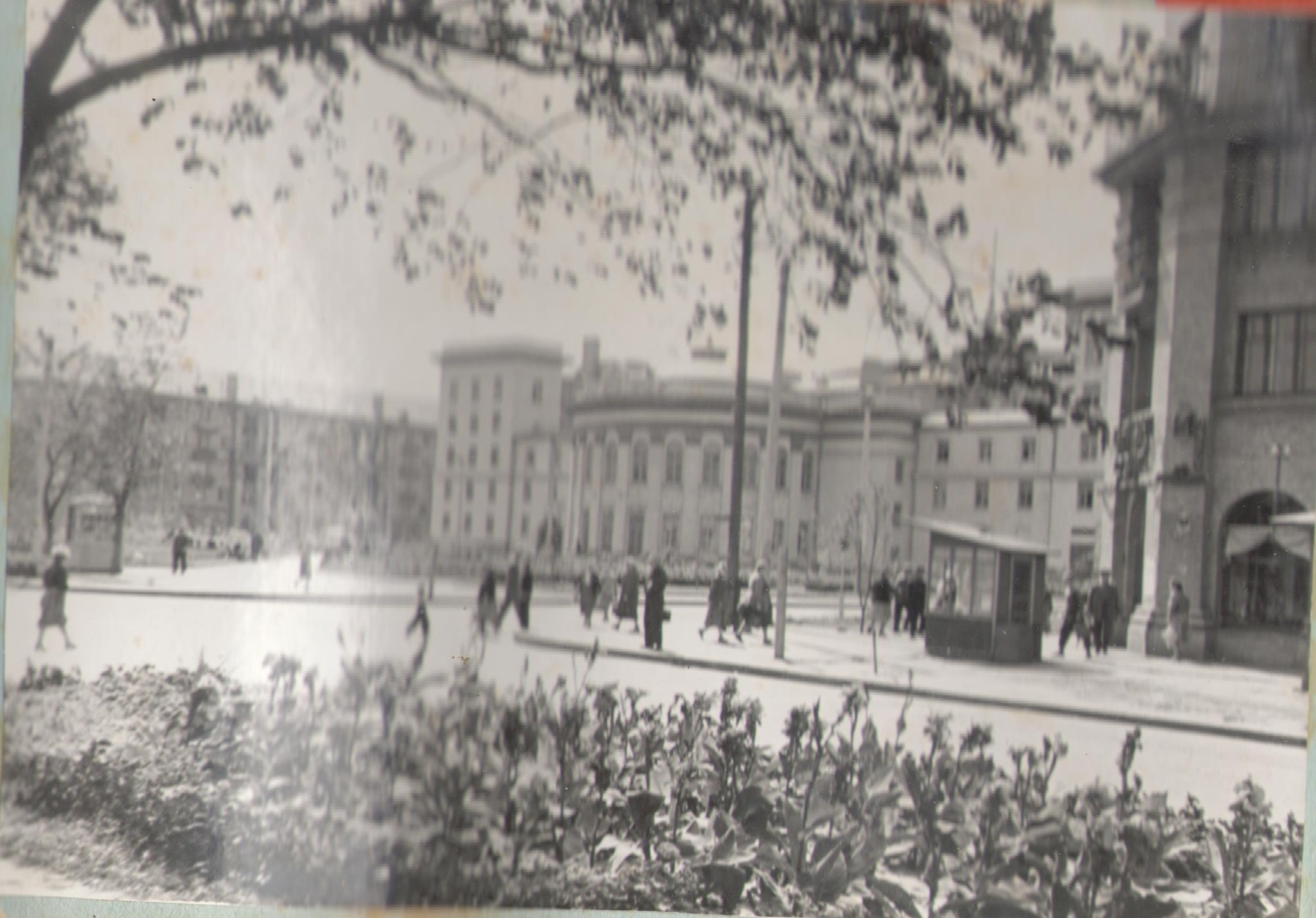 В краєзнавчому музеї показали маловідомі світлини Черкас - фото 7