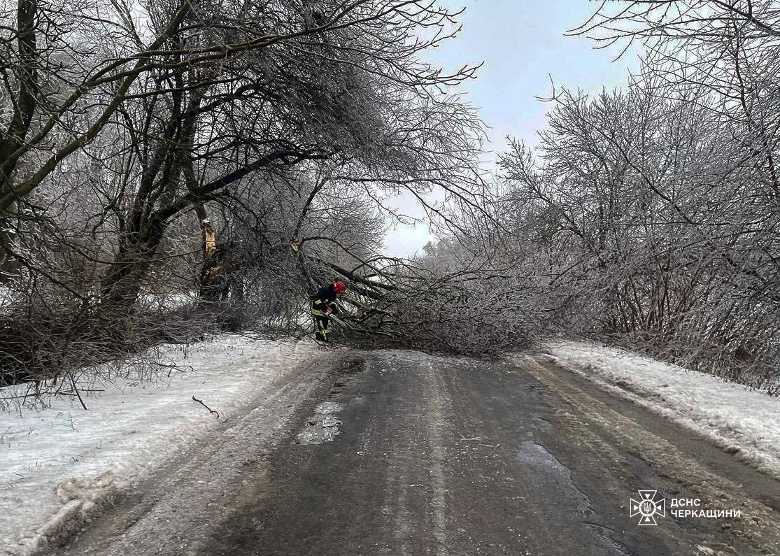 Черкаські надзвичайники прибрали повалені дерева з доріг в області - фото 2