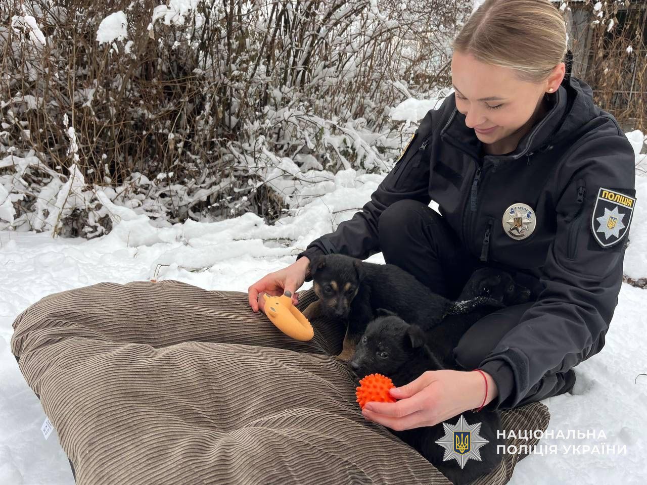 У Мукачеві поліцейська Юлія врятувала трьох цуценят і шукає їм домівку - фото 2