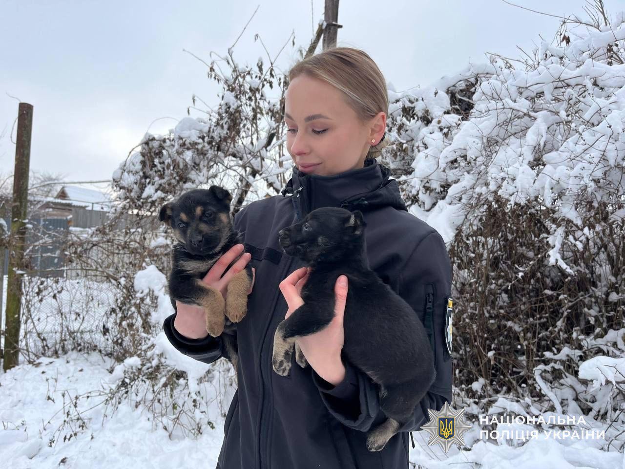 У Мукачеві поліцейська Юлія врятувала трьох цуценят і шукає їм домівку - фото 4
