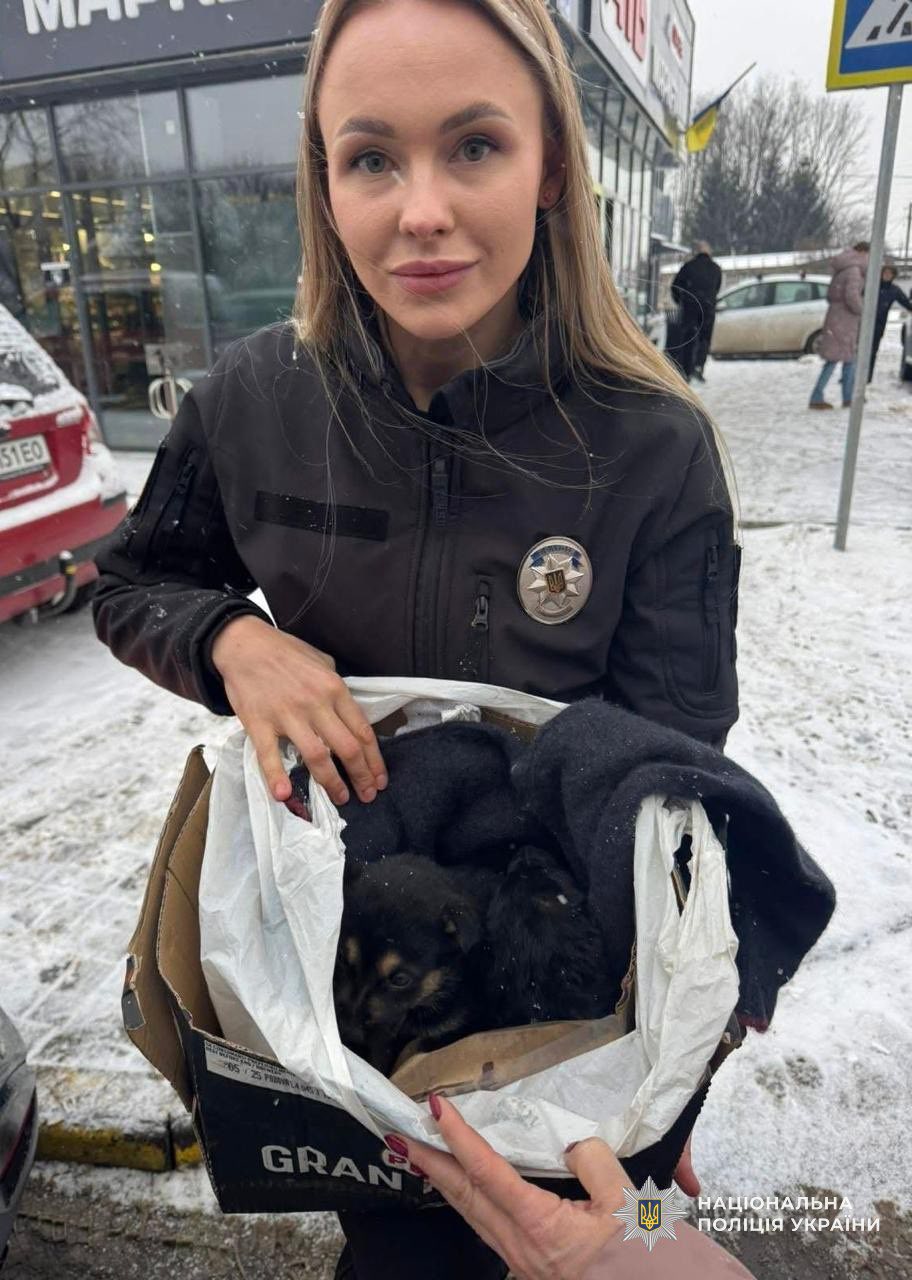 У Мукачеві поліцейська Юлія врятувала трьох цуценят і шукає їм домівку - фото 5