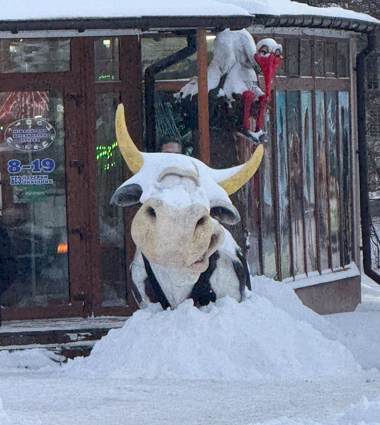 Воїн та автор артоб'єкта «Я люблю Вінницю» зробив скульптуру коня зі снігу - фото 6