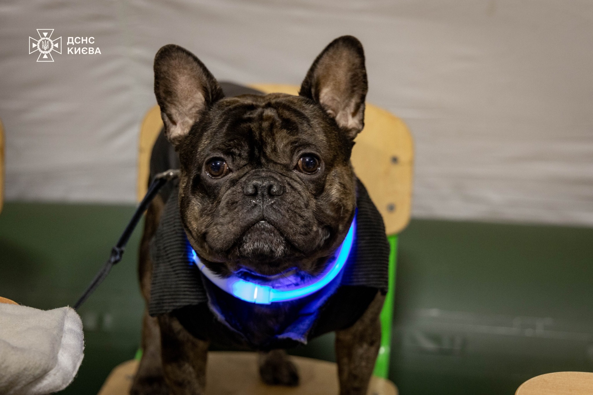 Понад 3,5 тис. киян скористалися мобільними пунктами незламності - фото 3